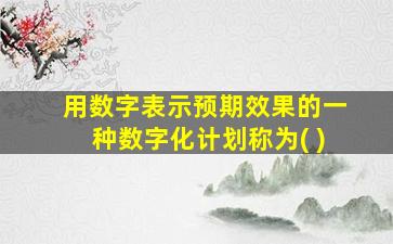 用数字表示预期效果的一种数字化计划称为( )